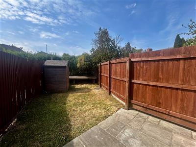 Picture 16